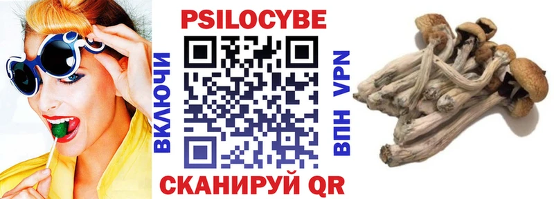 Галлюциногенные грибы Cubensis  цены наркотик  Невельск 